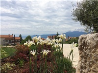 97070e51-20170506 Ri irisi bijeli.jpg